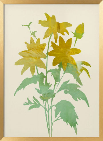 Gentle Yellow Blossoms | Poster - Gold Frame Interior