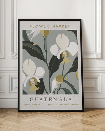 Tropical Guatemala Orchids | Poster - Room Interior 1