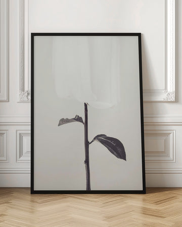 Ethereal Fabric Flower | Poster - Room Interior 1