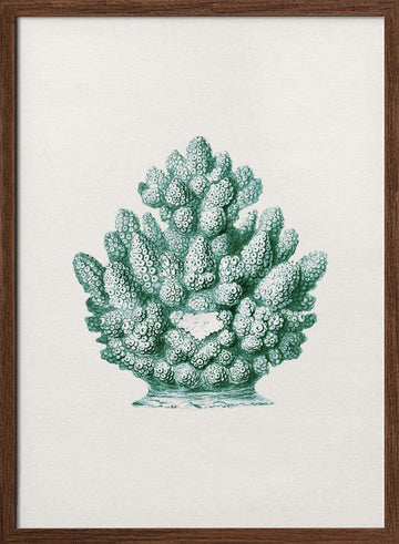 Teal Ocean Coral | Poster - Walnut Frame Interior
