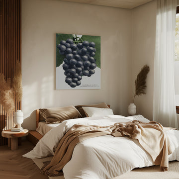 Campbell's Early Grape Lithograph | Canvas - Room Interior 2