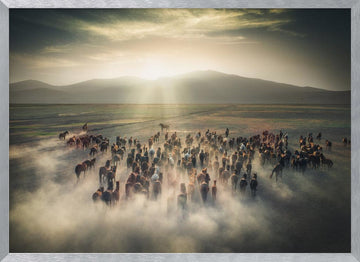 Wild Horses in Dust | Poster - Silver Frame Interior
