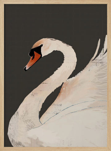 Graceful White Swan | Poster - Wood Frame Interior
