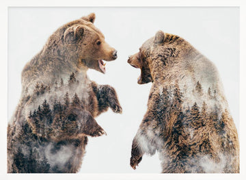 Roaring Forest Bears | Poster - White Frame Interior