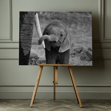 Curious Baby Elephant | Canvas - Room Interior 1