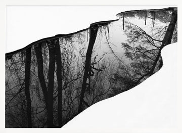 Winter Tree Reflection | Poster - White Frame Interior