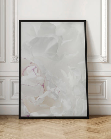 Soft Peony Petals | Poster - Room Interior 1