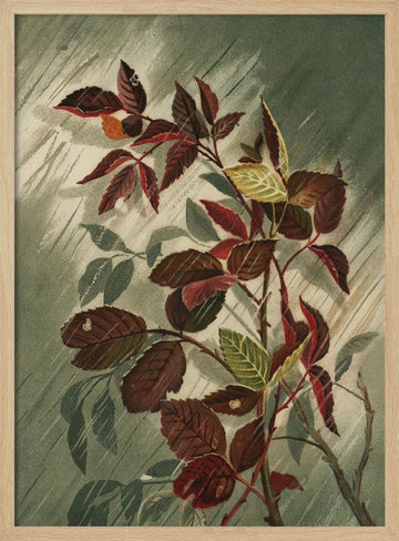 Autumn Leaves In the Rain | Poster - Wood Frame Interior