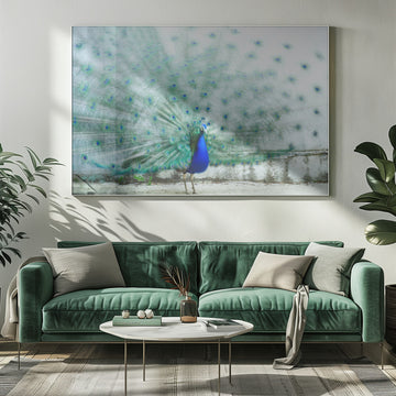 Vibrant Peacock Display | Poster - Room Interior 1