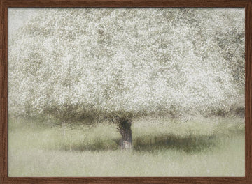 In the backyard | Poster - Walnut Frame Interior