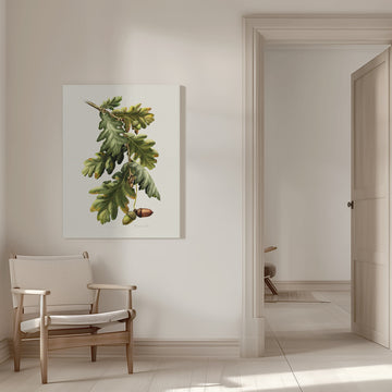 Botanical Oak Acorns | Canvas - Room Interior 1