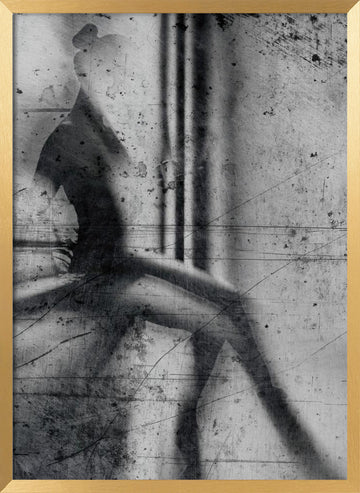Shadow Dancer | Poster - Gold Frame Interior