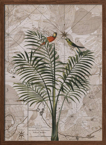 Tropical Birds on Vintage Map | Poster - Walnut Frame Interior