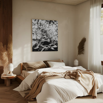 Nature Spirit Portrait | Canvas - Room Interior 2