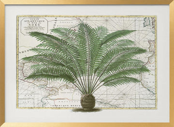 Vintage Palm Atlas | Poster - Gold Frame Interior