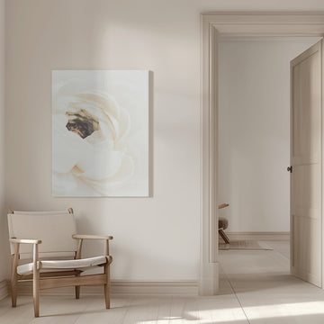 Soft White Ranunculus Bloom | Canvas - Canvas Interior