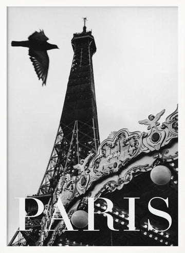 Paris Dove | Poster - White Frame Interior