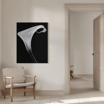 Elegant Calla Lily | Canvas - Room Interior 1