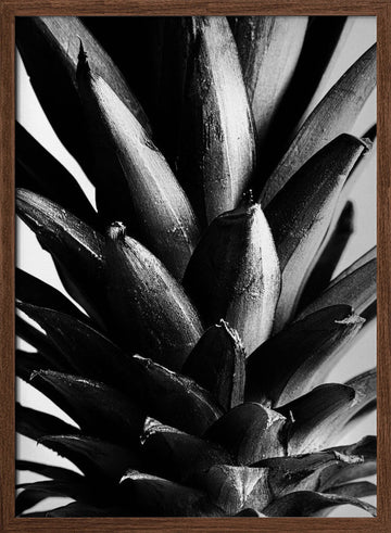 Bold Pineapple Texture | Poster - Walnut Frame Interior