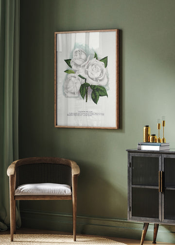 White Rose, Coquette Des Alps Lithograph | Poster - Room Interior 2