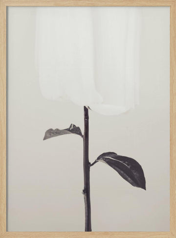 Ethereal Fabric Flower | Poster - Wood Frame Interior