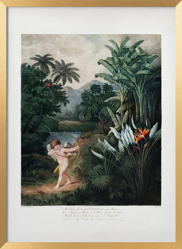 Cupid Inspiring Plants with Love from The Temple of Flora (1807) | Poster - Gold Frame Interior