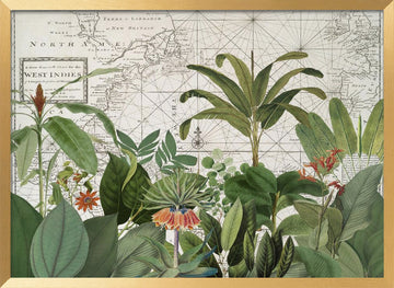 Tropical Map Explorations | Poster - Gold Frame Interior