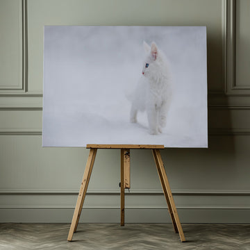 White Kitten in Snow | Canvas - Room Interior 1