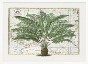 Vintage Palm Atlas | Poster - White Frame Interior
