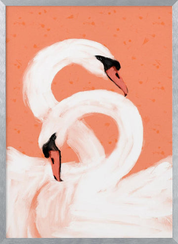 Graceful Swans | Poster - Silver Frame Interior