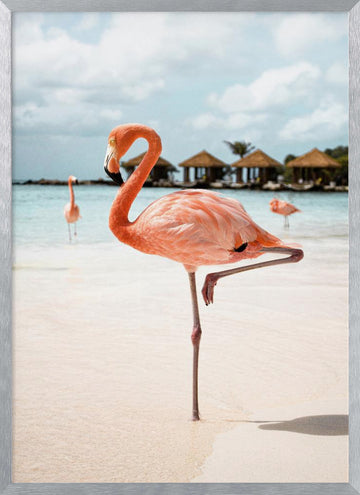 Pink Flamingo Beach | Poster - Silver Frame Interior