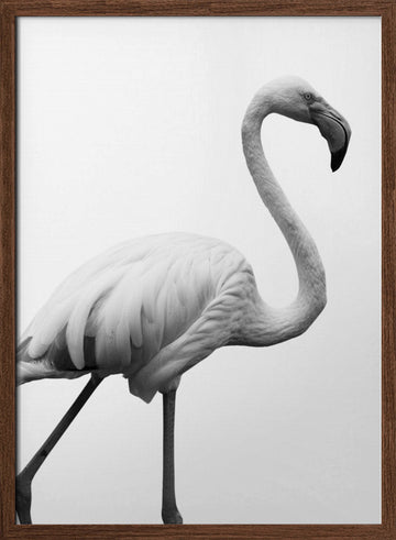 Graceful Silhouette | Poster - Walnut Frame Interior