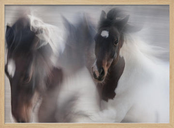 Spirited Horse Motion | Poster - Wood Frame Interior