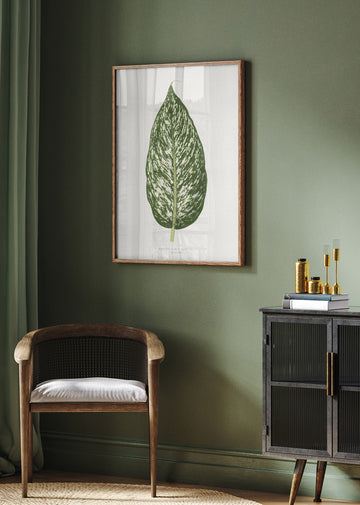Dieffenbachia Seguina Leaf Illustration | Poster - Room Interior 2