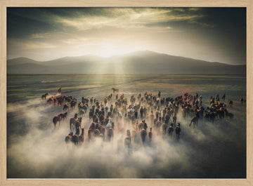 Wild Horses in Dust | Poster - Wood Frame Interior