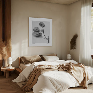 Ptelea Trifoliata | Canvas - Room Interior 2