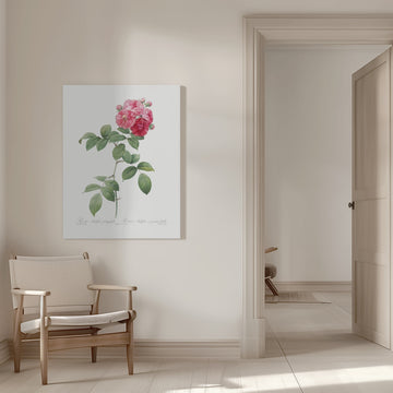 Seven Sisters Roses, Les Roses (1817–1824) | Canvas - Room Interior 1