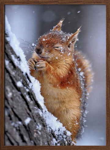 Happy Winter Squirrel | Poster - Walnut Frame Interior