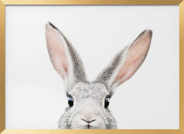 Peeking Bunny | Poster - Gold Frame Interior