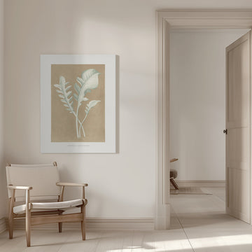 Centaurea Candidissima Leaf Illustration | Canvas - Room Interior 1