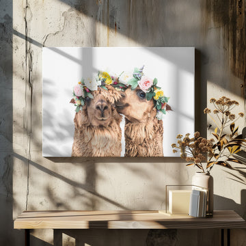Boho Alpacas | Canvas - Room Interior 2