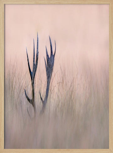Ethereal Deer Antlers | Poster - Wood Frame Interior