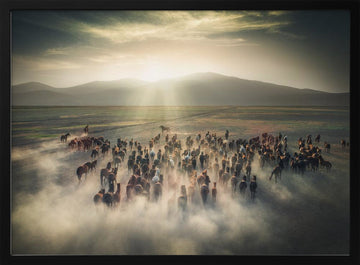 Wild Horses in Dust | Poster - Black Metal Frame Interior