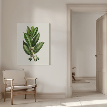 Botanical Leaves and Fruit | Canvas - Room Interior 1