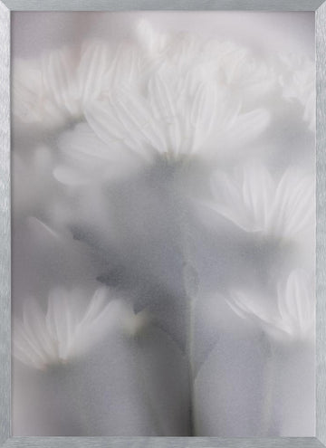 Blurred Flowers 6 | Poster - Silver Frame Interior