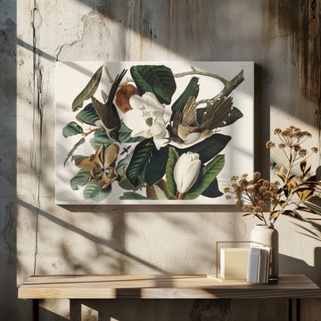 Black Billed Cuckoo From Birds of America (1827) | Canvas - Room Interior 2