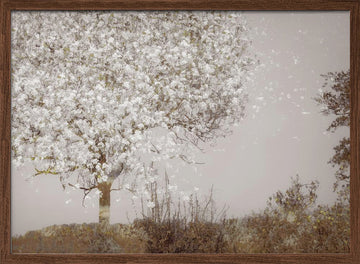 Fruit tree | Poster - Walnut Frame Interior