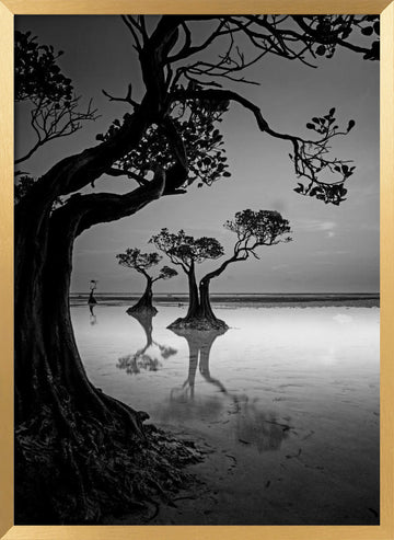 Moody Mangrove Landscape | Poster - Gold Frame Interior