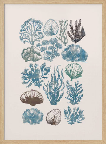 Vintage Marine Flora | Poster - Wood Frame Interior