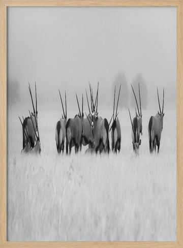 Oryx in the Mist | Poster - Wood Frame Interior